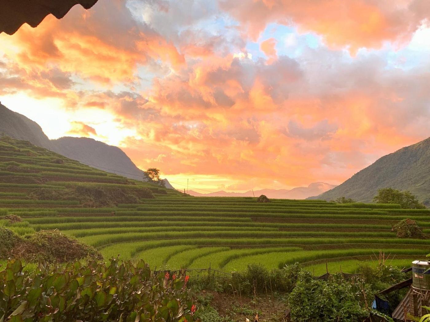 Ferienwohnung Miku Chill House Sapa Exterior foto