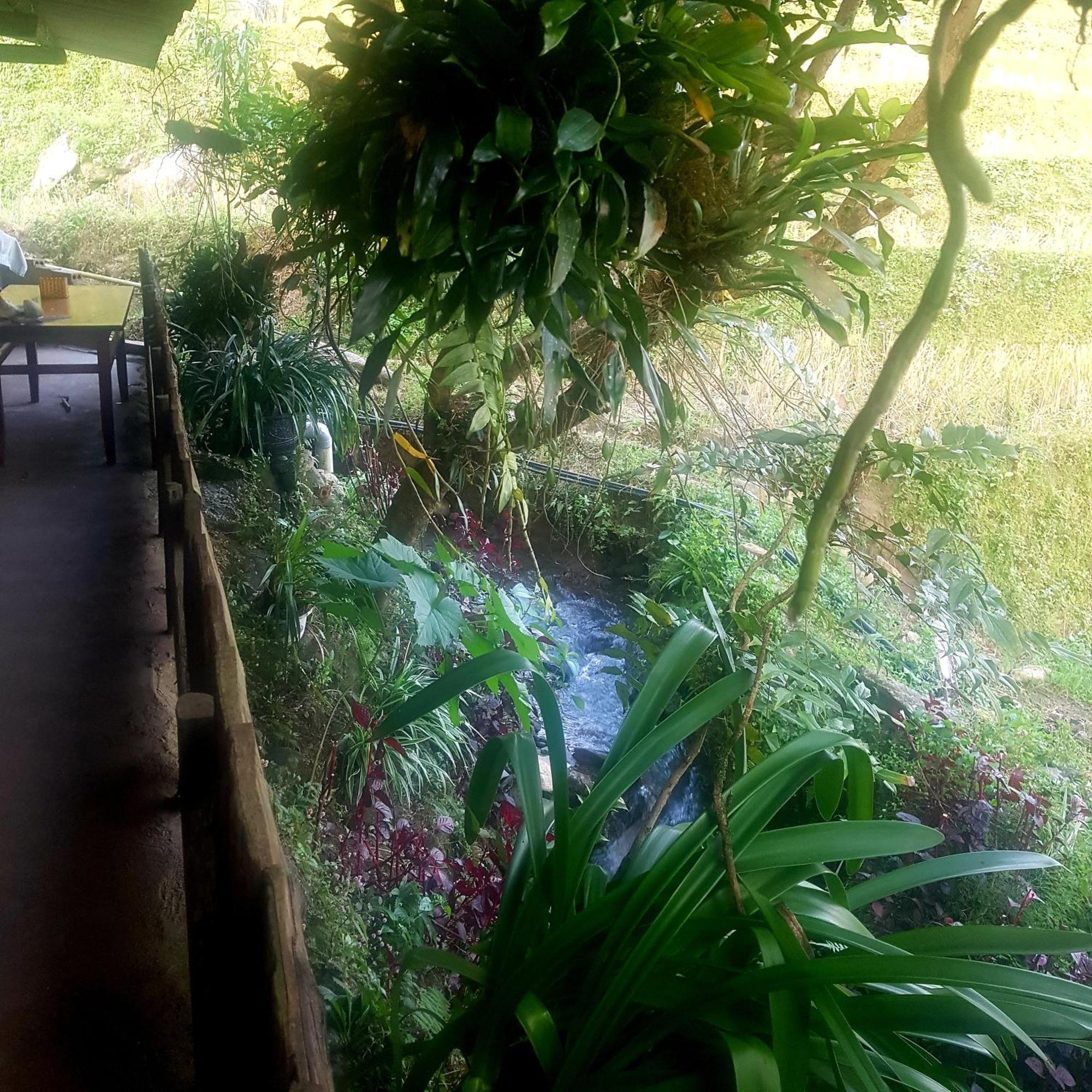 Ferienwohnung Miku Chill House Sapa Exterior foto